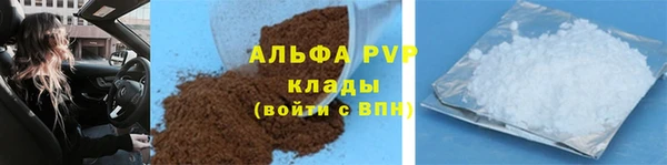 стафф Алексин