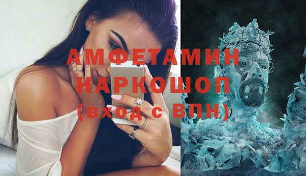 стафф Алексин