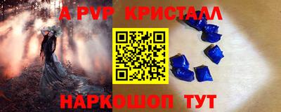 СК Ярославль