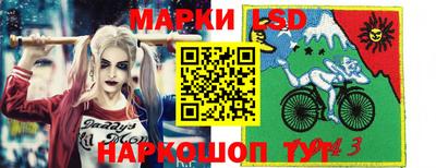 СК Ярославль