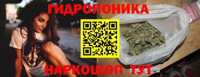 СК Ярославль