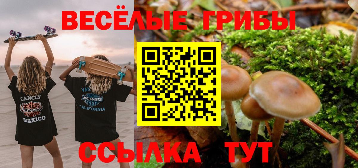 Псилоцибиновые грибы Psilocybine cubensis  Вход с VPN  Галлюциногенные грибы Cubensis  купить  сайты  Благодарный 